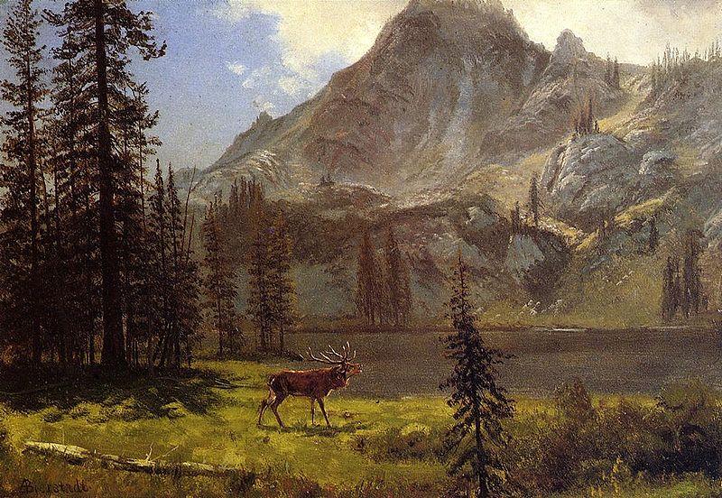 Albert Bierstadt Albert Bierstadt Call Of The Wild oil painting image